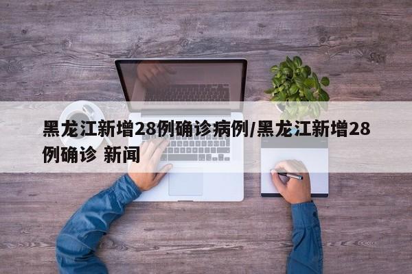 黑龙江新增28例确诊病例/黑龙江新增28例确诊 新闻